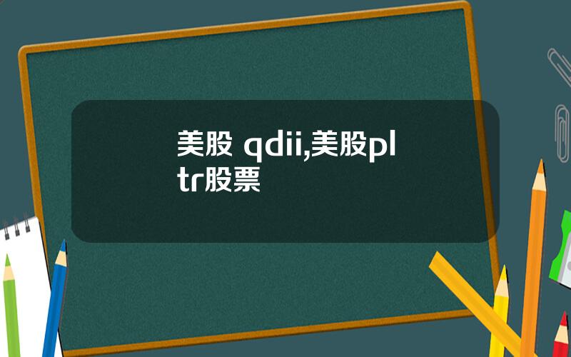 美股 qdii,美股pltr股票